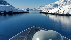 Analysegruppe: Udsigt til udenlandske soldater på dansk jord i Arktis