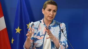 Krav om opdatering af Danmarks 15 år gamle EU-politik følger med ind i ny valgperiode