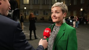 Vælgerlussing til minister: Sådan gik det Christiansborgs uddannelsesprofiler