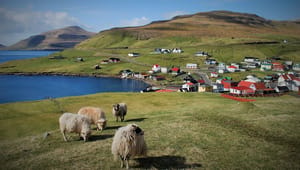 Færøerne skal til valg