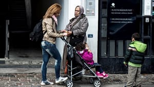 Menneskeretsinstitut om hjemsendte syrere: Myndighederne bryder dansk og international ret