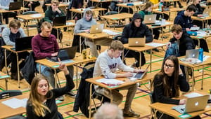 Danske Gymnasier: Sprogfagenes negative udvikling skal stoppes, før det er for sent