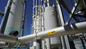 Oliegiganten Shell køber det danske biogasfirma Nature Energy 