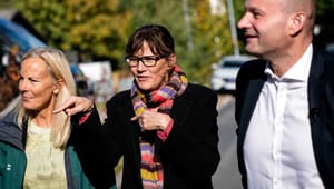 Advokater kalder fagforeningers kritik af deres undersøgelse af Helsingør-borgmester for ”tendentiøs” og ”misforstået”