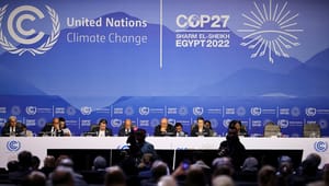 Forsker: Biodiversitetens topmøde fortjener samme opmærksomhed som COP27 
