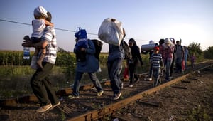 Hurtigere asylprocedurer og program for antismugling: Sådan vil EU håndtere migrantpresset på Balkan-ruten