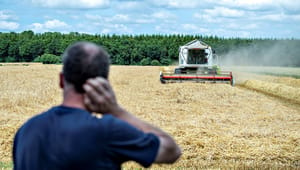Fakta: Et generationsskifte i dansk landbrug er uundgåeligt