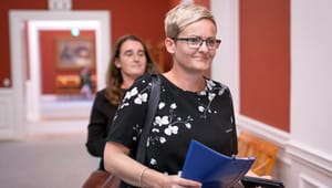 Pernille Rosenkrantz-Theil bliver ny boligminister