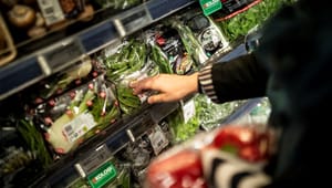 Danske Æg: Vi skal stadig gå forrest med klimamærkede fødevarer
