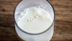 Dansker bliver præsident for europæiske mælkeproducenter
