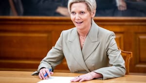 Danmarksdemokraterne udpeger beskæftigelsesordfører