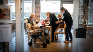 Vive: Skal det frivillige Danmark være samarbejdspartnere eller leverandører? Det afhænger af, hvilken velfærdsstat, vi vil have