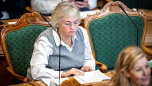 Folketinget har fået nyt ældreudvalg og rutinerede kræfter blandt ældreordførerne