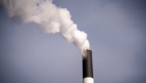 Concito: Med regeringens nye klimamål skal 14 millioner ton CO2 suges ud af atmosfæren 