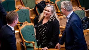 Partistifter og ejer af tøjbutik på Møn: Mød Moderaternes nye miljøordfører