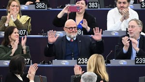 Europa-Parlamentet har valgt ny næstformand efter stor korruptionsskandale