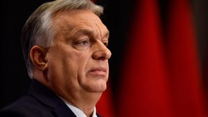 Historiker: Med Orbáns bejleri til Putin kan Ungarn og de vestlige værdier ende på Ruslands menukort