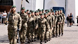 Brigadegeneral om kvindelig værnepligt: Forsvaret bør være et spejl af samfundet
