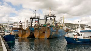 Pernille Weiss om fiskeriaftale: Færøerne bør overveje at udvide sine indtægtskilder