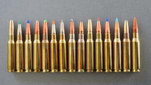 Vildtbiolog: Bly-ammunition er gift for miljøet - men forbuddene halter efter