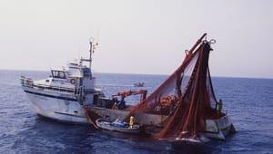EU vil stoppe naturskadeligt fiskeri i alle beskyttede havområder