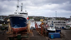 Forsker: Fiskeripolitik bliver til udenrigspolitik, når Færøerne bytter kvoter med Putin
