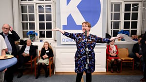 Tre spørgsmål trænger sig på, når Kristendemokraterne vælger it-millionær som ny politisk leder