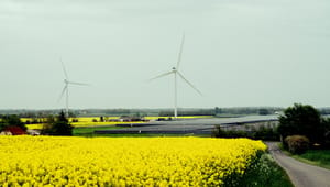 I Veddum Kær er det lykkedes at opstille ni vindmøller og 18 fodboldbaner solceller uden en eneste klage fra de lokale. Sådan lykkedes det 
