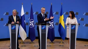 Sikkerhedspolitisk netværk: Nordisk udvidelse af Nato vil få store konsekvenser for Danmark