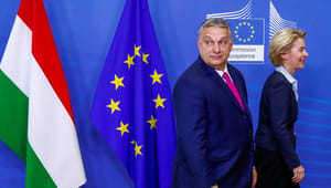 Minister bakker op om EU-retssag mod den ungarske regering: I Ungarn kan børn ikke se Matador, fordi Daniel er homoseksuel