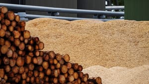 Enviva-direktør: Lad os værne om vores krav til biomasse – uden protester