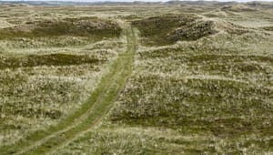 DF'er: Danmark skal ikke bukke under for EU’s krav om naturnationalparker
