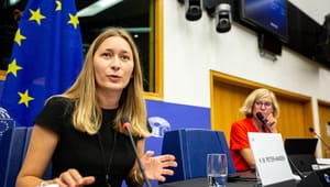 Tidligere rådgiver i EU: I Bruxelles kan ingen høre dig skrige – for moderpartiet har revet mikrofonen fra dig