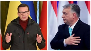 Putins invasion skaber sprækker i det ellers solide venskab mellem Polen og Ungarn