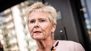 FH lader Lizette Risgaard fortsætte i bankbestyrelse mindst ni måneder endnu