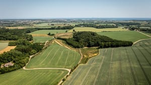 Concito: Kun en omfattende arealomlægning kan fremtidssikre Danmarks biodiversitet 