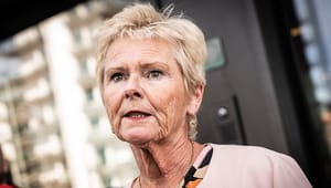 Lizette Risgaard stopper i Nationalbankens repræsentantskab