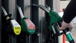 Concito: Mere biobrændstof volder problemer for klimaet, bilisterne og statskassen