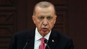 Erdogan: EU skal åbne for tyrkisk medlemskab, hvis Sverige skal med i Nato