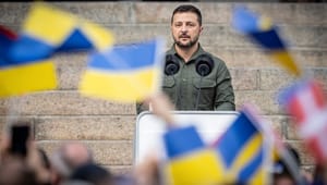 Zelenskyj signalerede med sit "hej", hvorfor danskerne fra første færd har støttet Ukraine