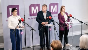 Moderaternes selvironi er et godt eksempel på, at "less is more" også gælder i dansk politik