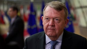 Tidligere EU-parlamentariker: Dansk europapolitik skal forholde sig til et EU i forandring