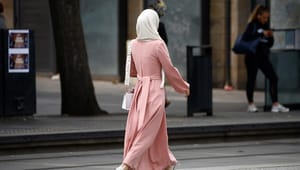 En kjole har indtaget en central plads i fransk politik. Nu beskyldes Europas sekulære højborg for diskrimination af muslimer