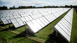 Organisation og forsker: Regeringen nøler med længe ventet solcellestrategi