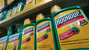 Rådet for Grøn Omstilling: Roundup skal rulles tilbage – sammen med hele brugen af pesticider