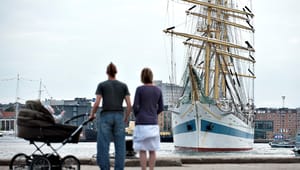 Danske Havne: Det Blå Danmark er en skæv branche, der går glip af vigtig udvikling