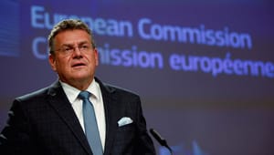 EU’s kommende grønne superkommissær lover: Vi kommer med et forslag til en ny lov om dyretransporter