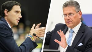 EU’s nye klimaduo får grønt lys fra parlamentarikere