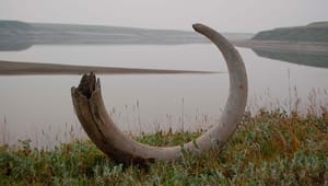Seniorforsker: Klimaforandringer truer den arktiske kulturarv