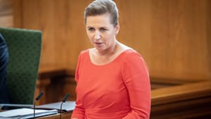Professor: Mette Frederiksen nedgør visse grupper for at opretholde velfærdssamfundet